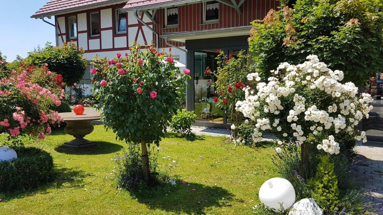 Hotel Landgut Apfelrose FDH Exteriér fotografie